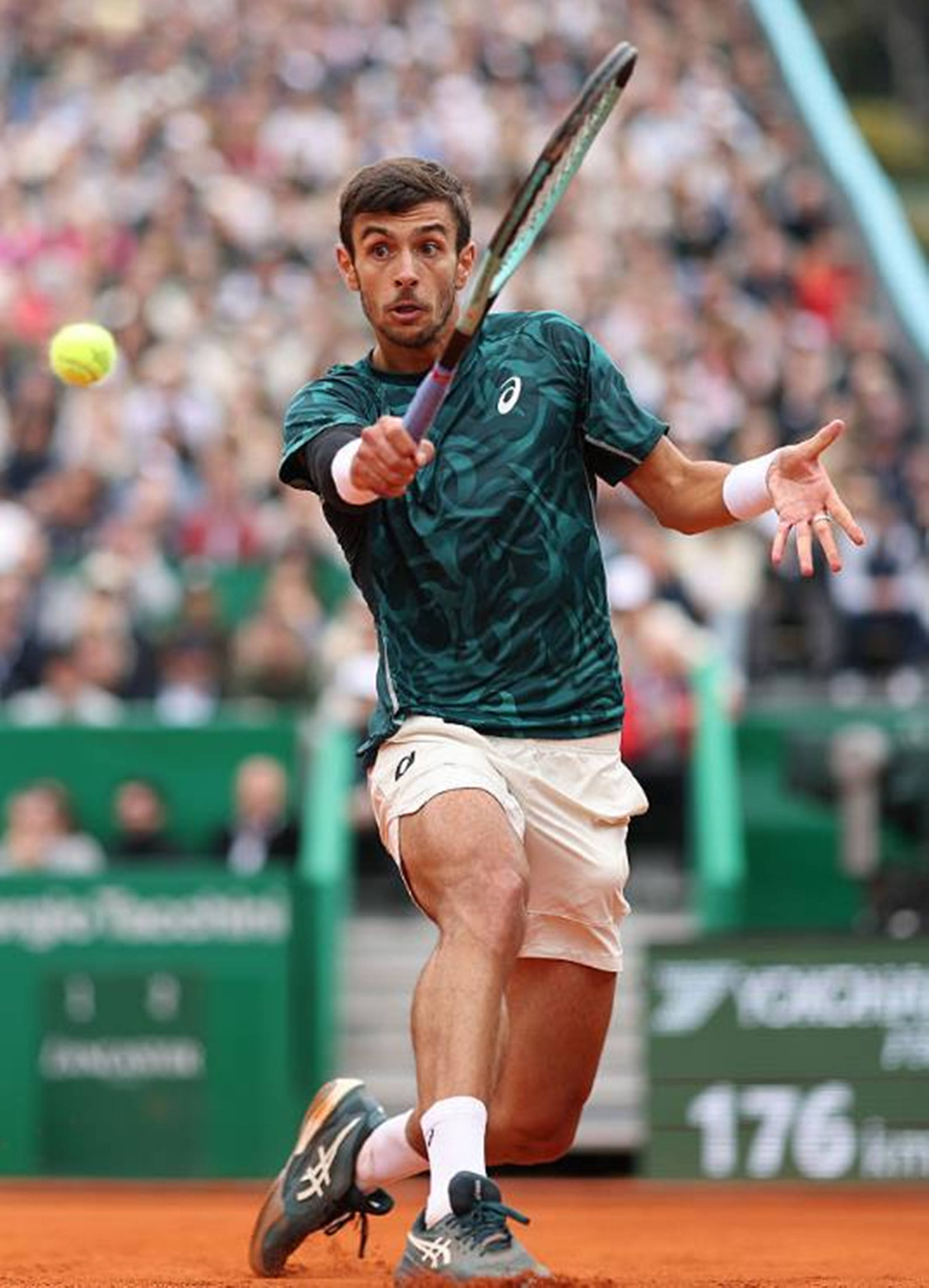 地经济的发 地经济的发